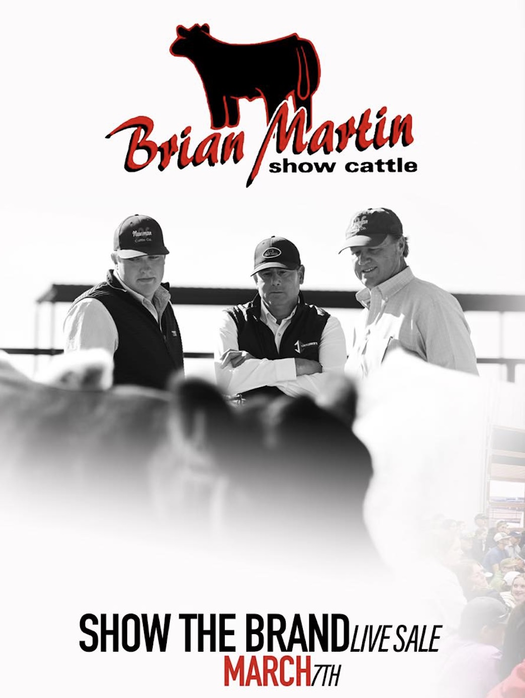 Show The Brand Club Calf Sale photo