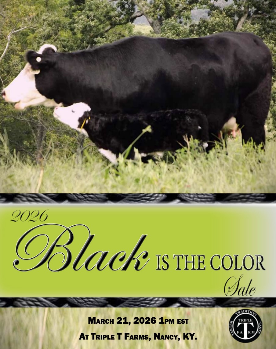 Triple T 2026 Black is the Color Sale photo