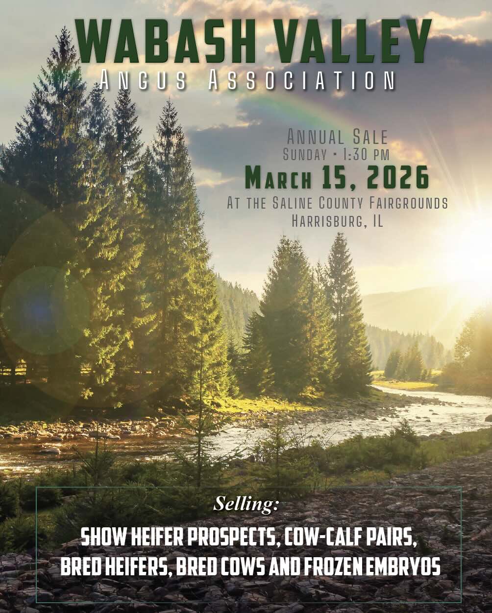 Wabash Valley Angus Association Annual Sale photo