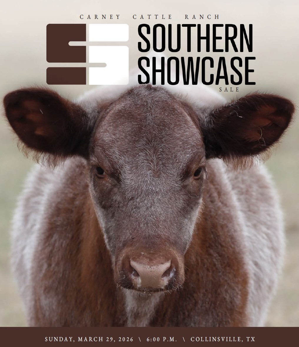 Carney Cattle Ranch Southern Showcase Sale photo