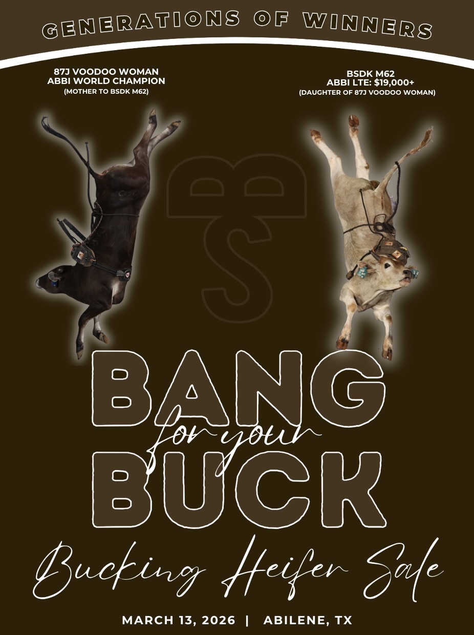 BS Cattle Company Bang For Your Buck Heifer Sale photo