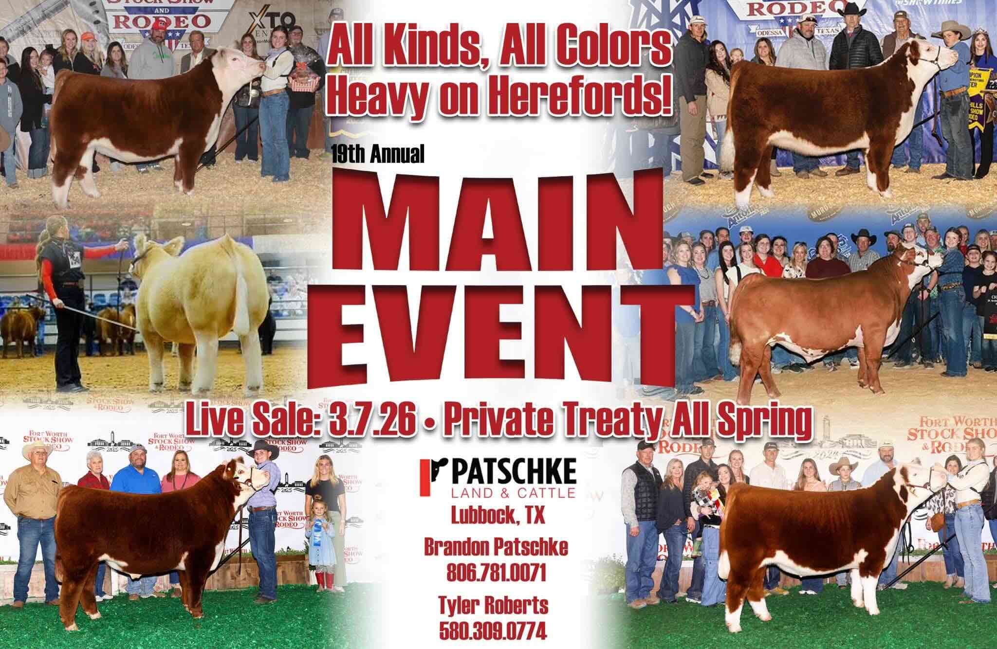 The Main Event Steer Sale photo
