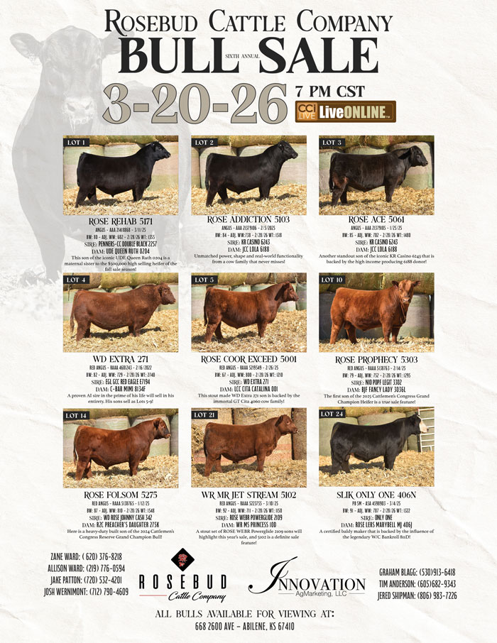 Rosebud Cattle Company Annual Bull Sale photo