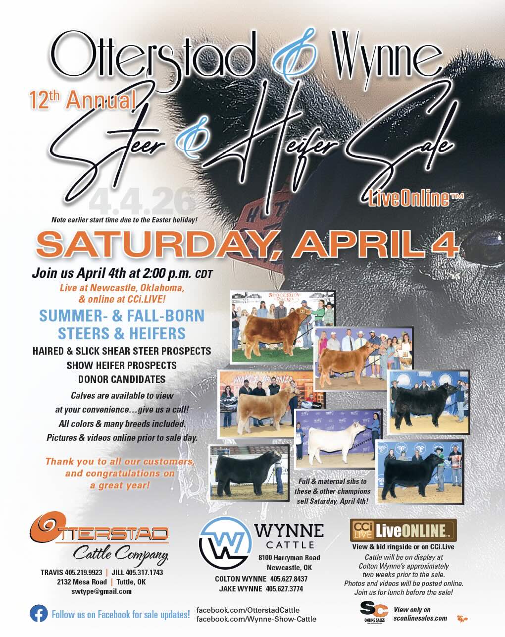 Otterstad & Wynne 12th Annual Steer & Heifer Sale photo