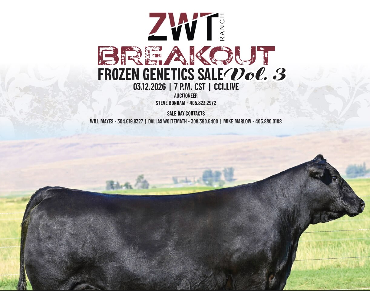 ZWT Ranch Frozen Genetic Sale photo