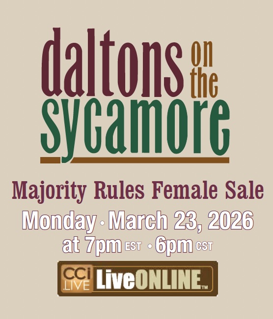 Daltons on the Sycamore Female Sale photo