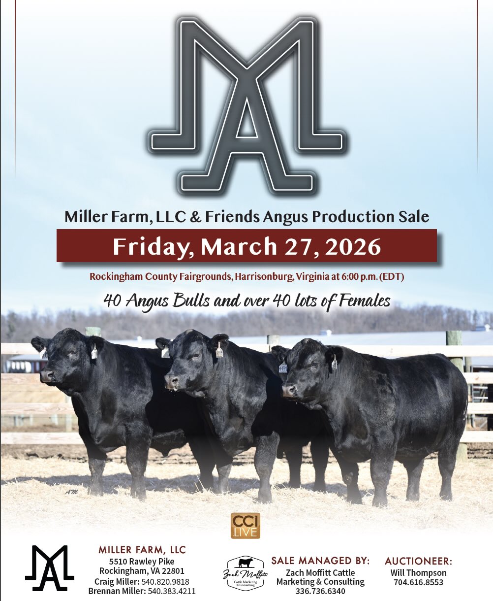 Miller Farm LLC Production Sale photo