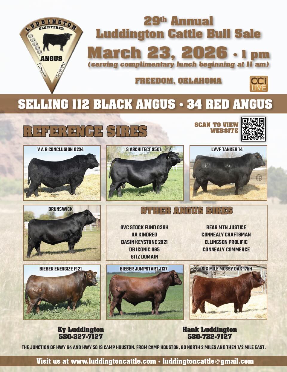 Luddington Cattle Bull Sale photo