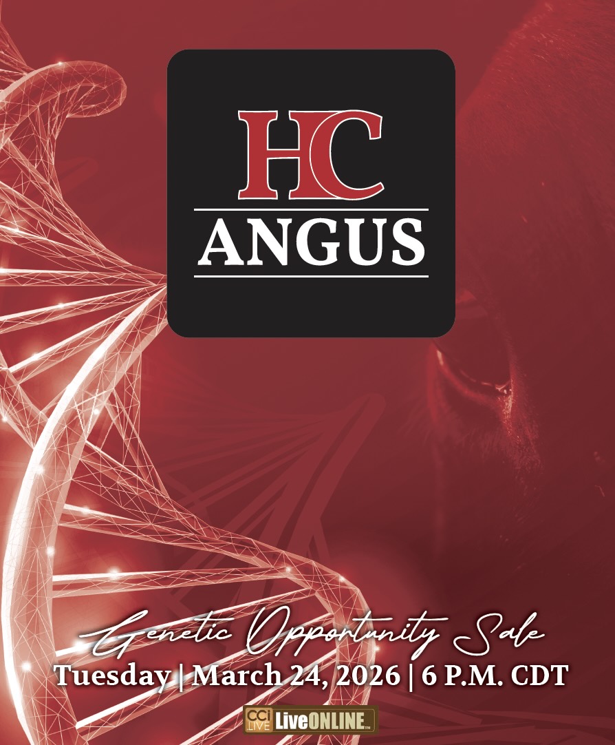 HC Angus Genetic Opportunity Sale photo
