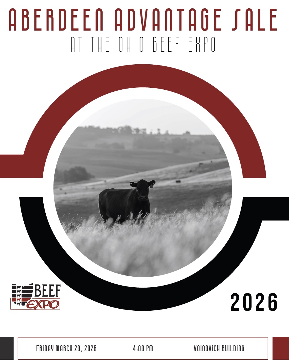 Ohio Beef Expo - Aberdeen Angus photo