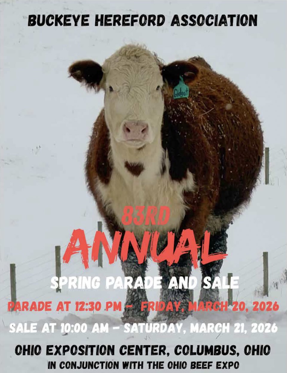 Ohio Beef Expo - Hereford photo