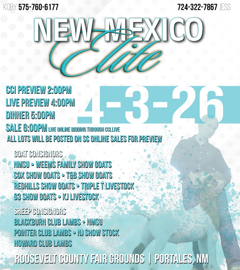 New Mexico Elite photo