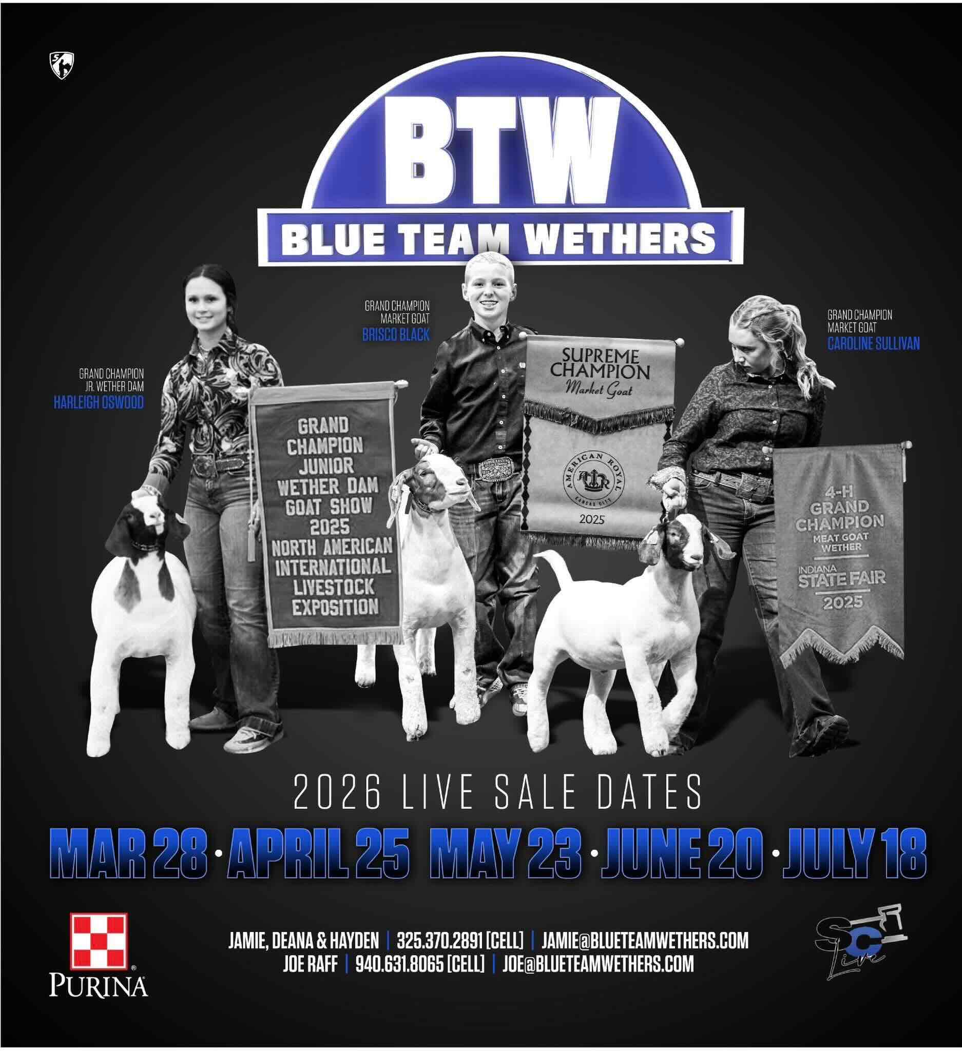 Blue Team Wethers May Sale photo