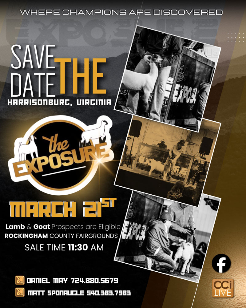 The Exposure Lamb and Goat Sale photo