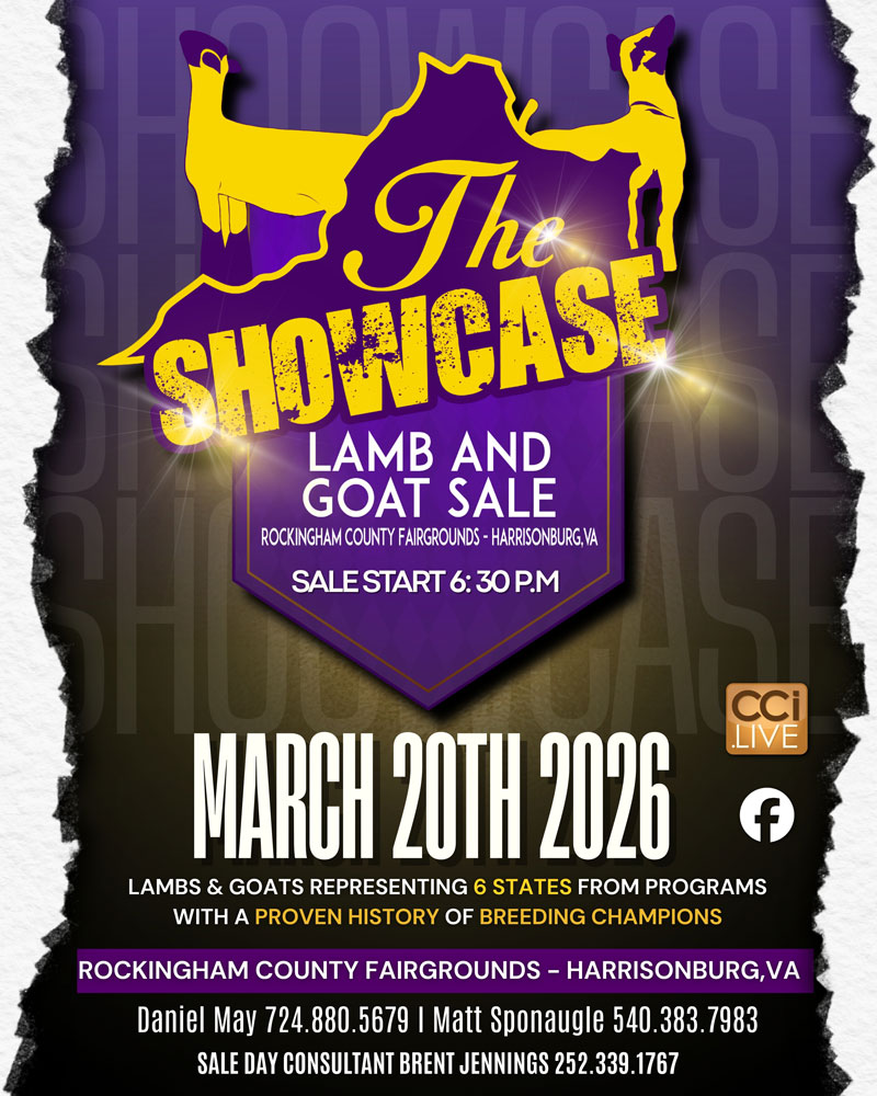 The Showcase Sale photo