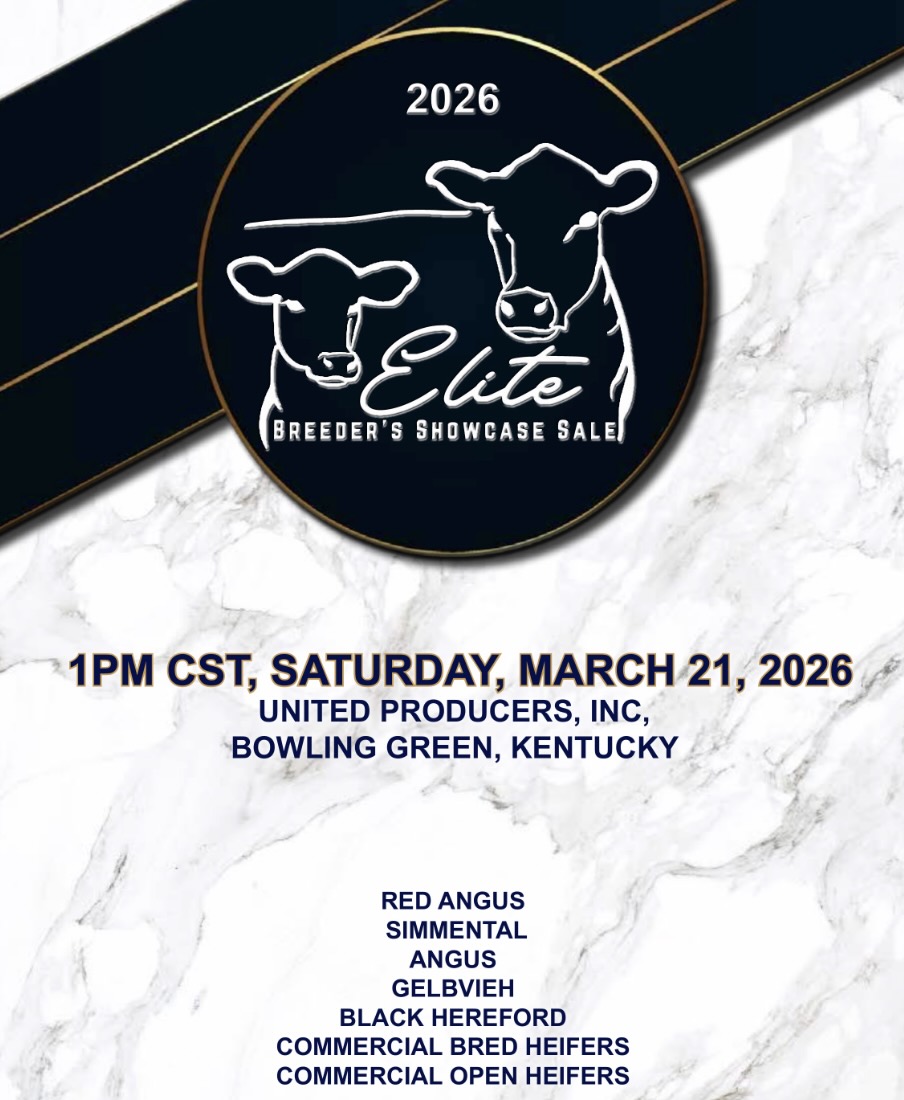 Elite Breeders Showcase Sale photo