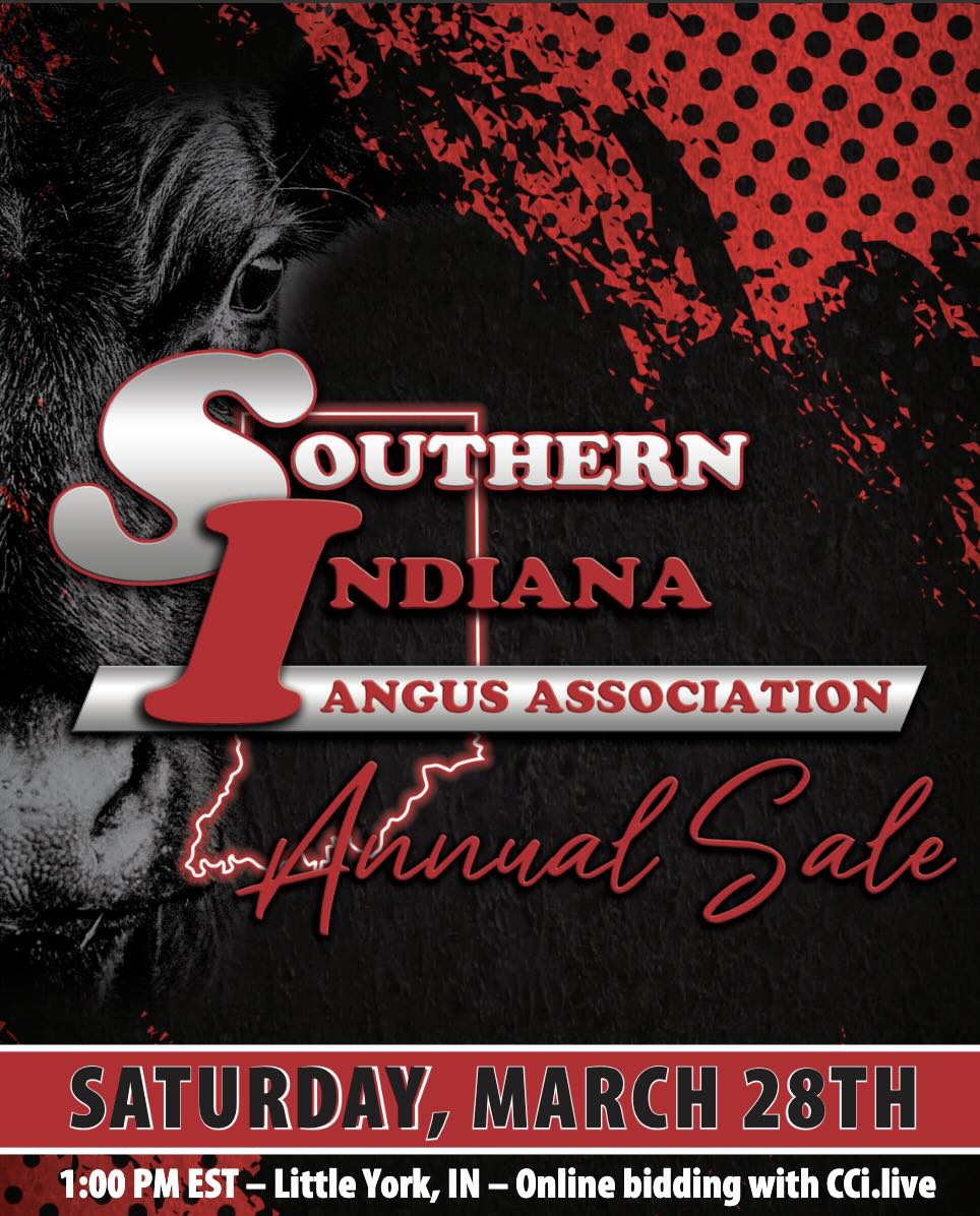 Southern Indiana Angus Association Sale photo