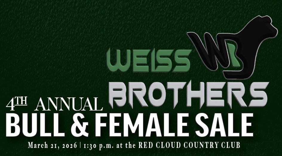 Weiss Brothers Bull & Female Sale photo
