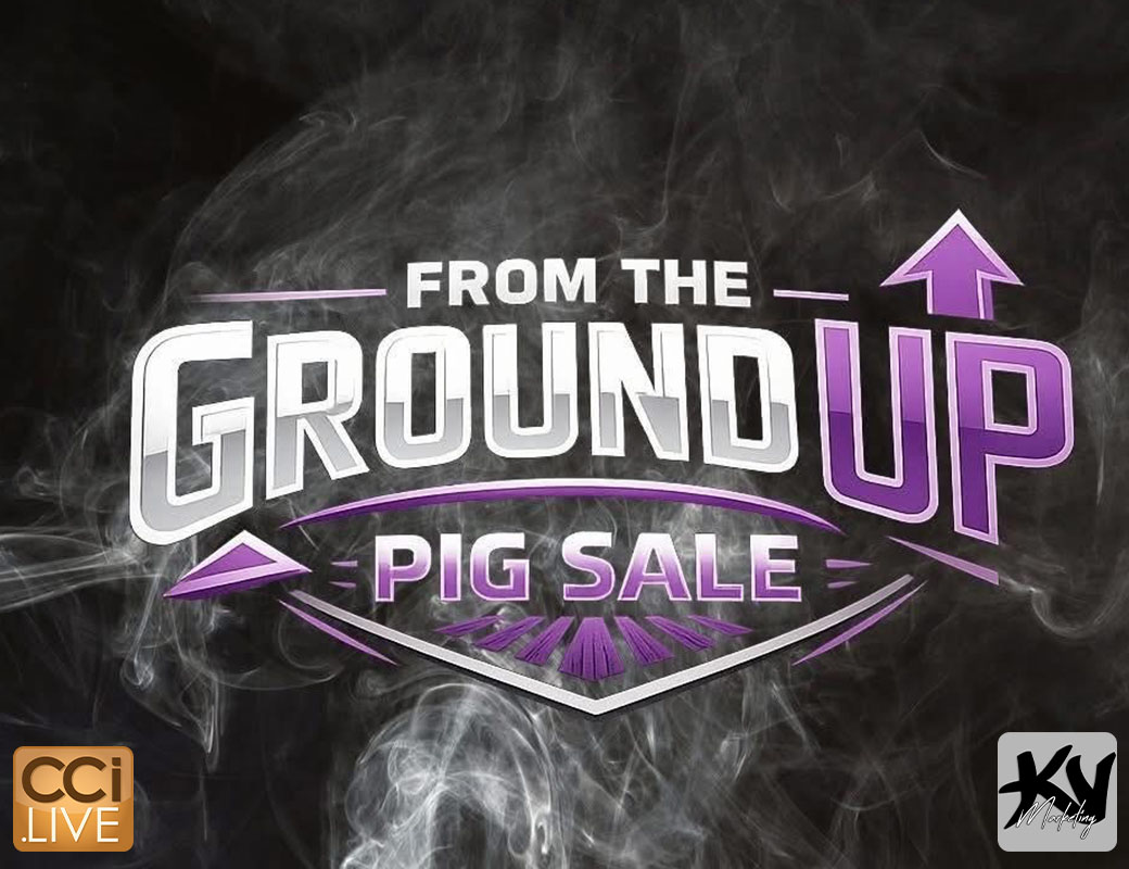 From The Ground Up photo