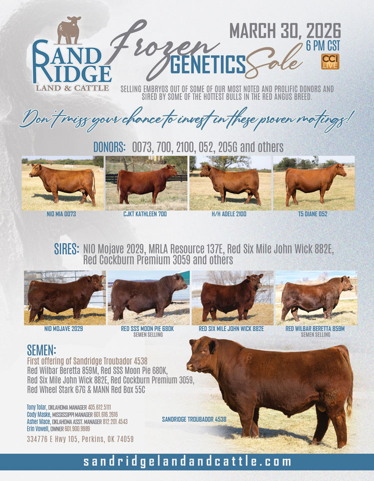 Sandridge Land & Cattle Frozen Genetic Sale photo