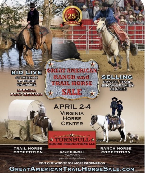 The Great American Ranch and Trail Horse Sale photo