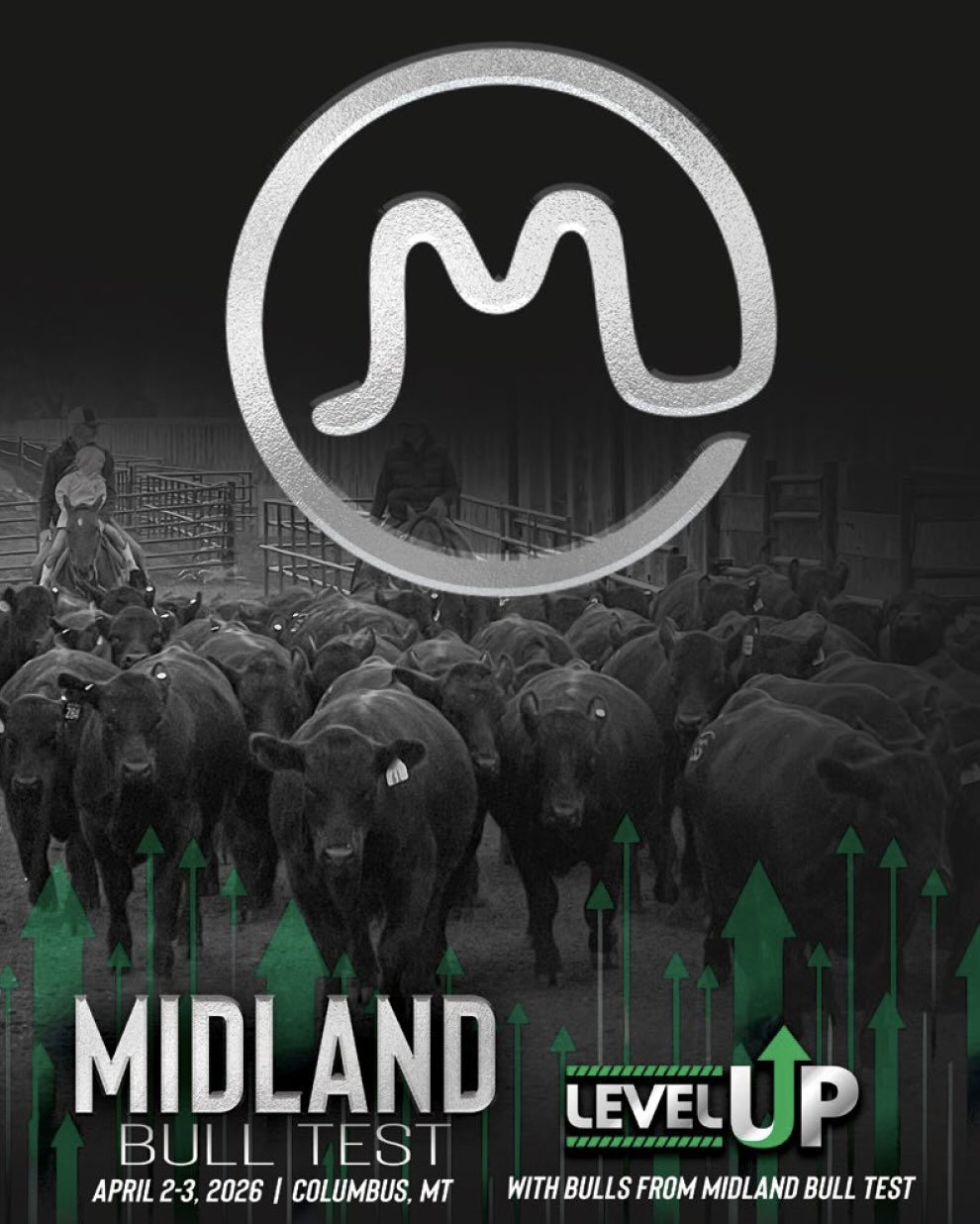 Midland Bull Test Sale photo