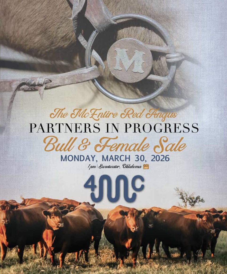 McEntire 4MC Red Angus Bull & Commercial Female Sale photo