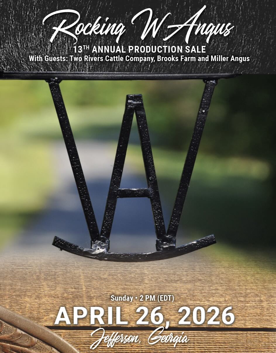 Rocking W Angus Sale photo