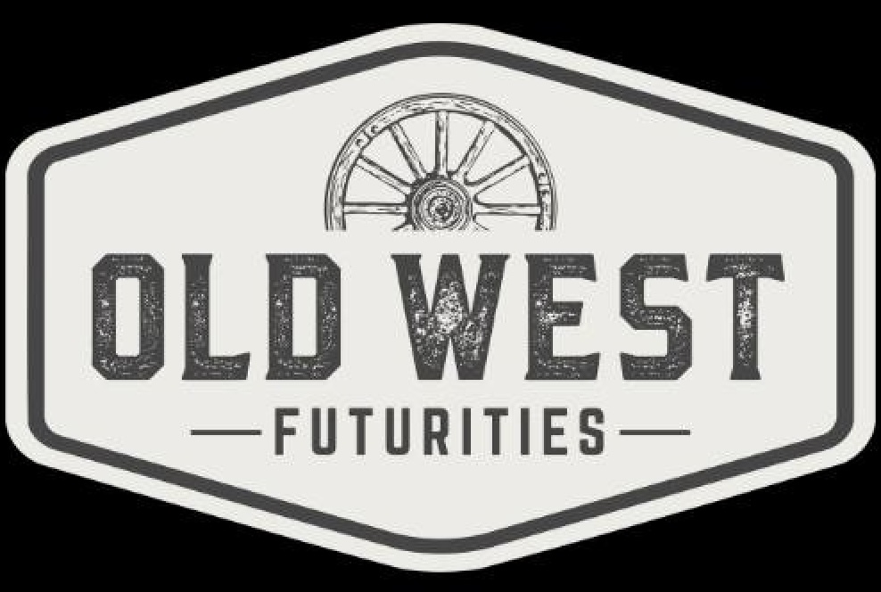 Old West Rope Horse Futurity Sale photo