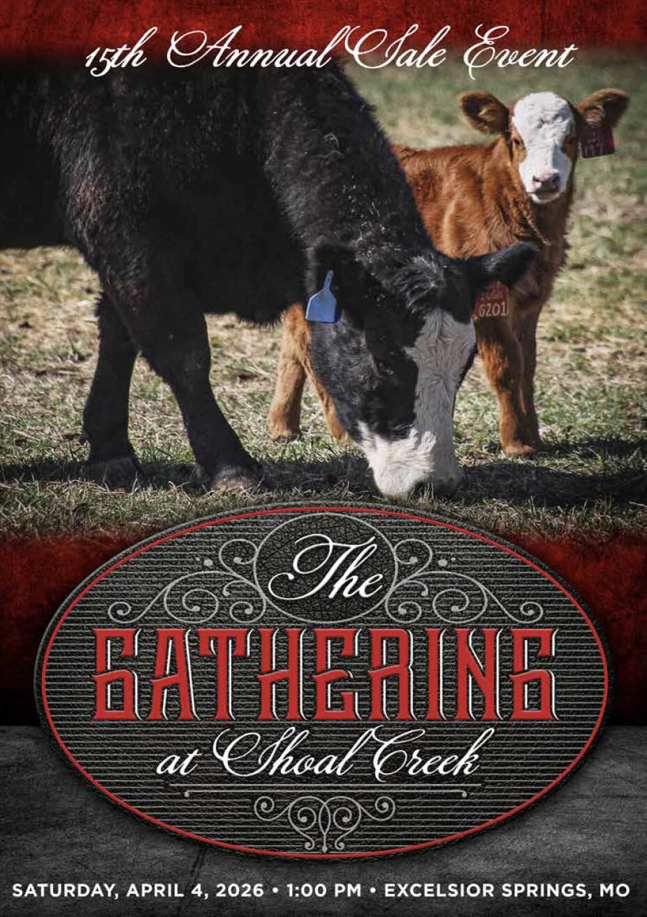 The Gathering at Shoal Creek photo