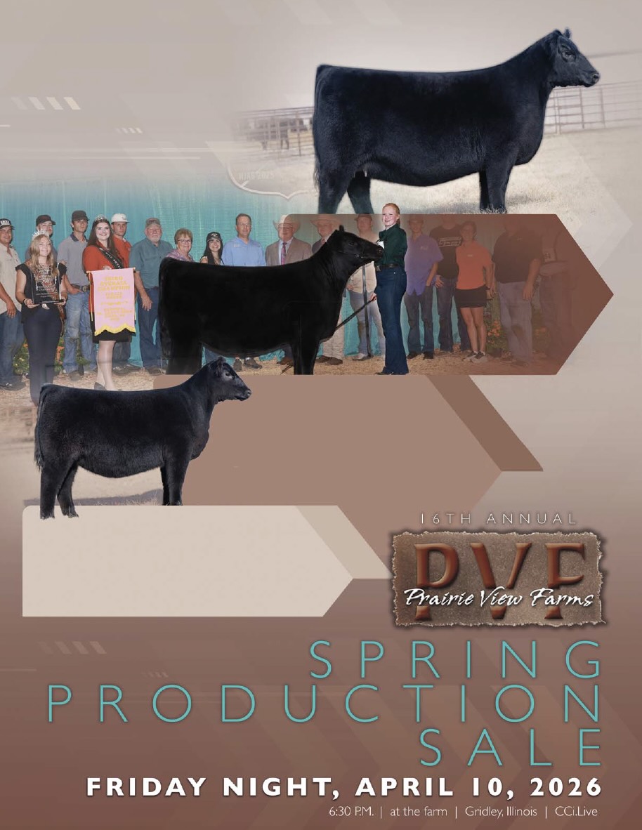 Prairie View Farm Spring Production Sale photo