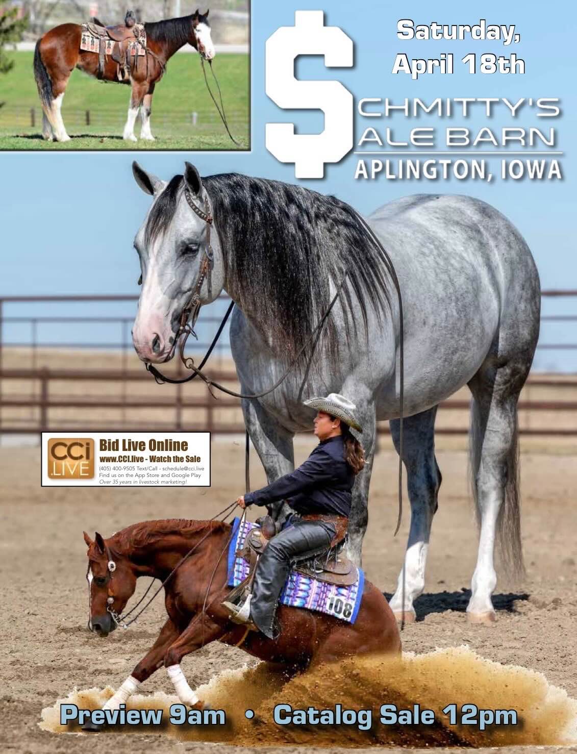Schmitty’s Sale Barn Horse Sale & Preview photo
