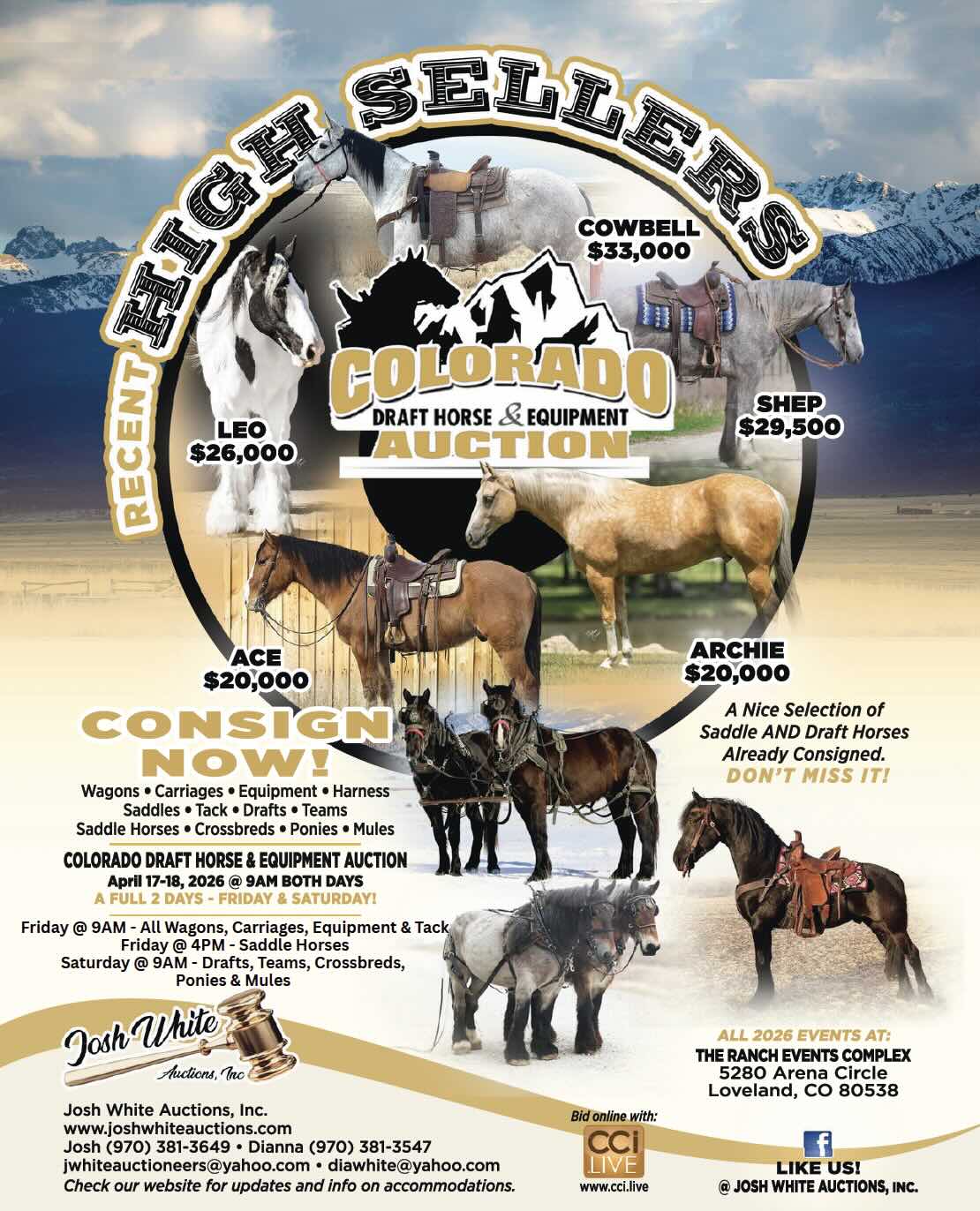 Colorado Draft Horse & Equipment Auction photo