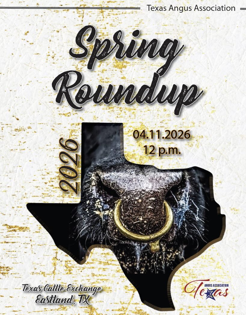 Texas Angus Assn Spring Roundup photo