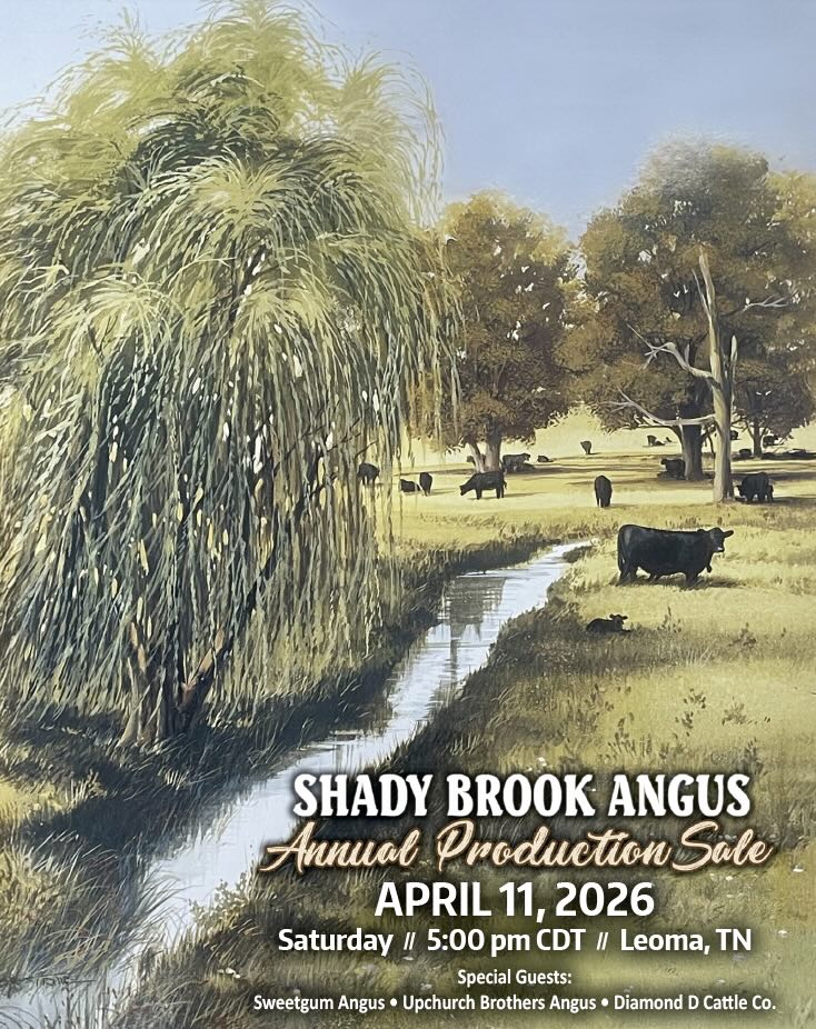 Shady Brook Angus Production Sale photo