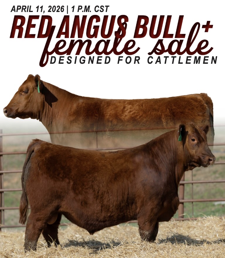 LB Livestock & Abele Cattle Co. photo