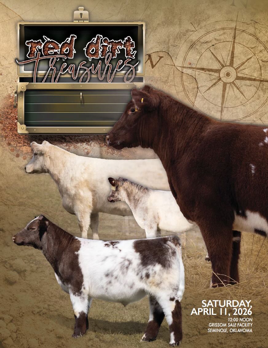 Lazy Bar F and Double G “Red Dirt Treasures” Shorthorn Sale photo
