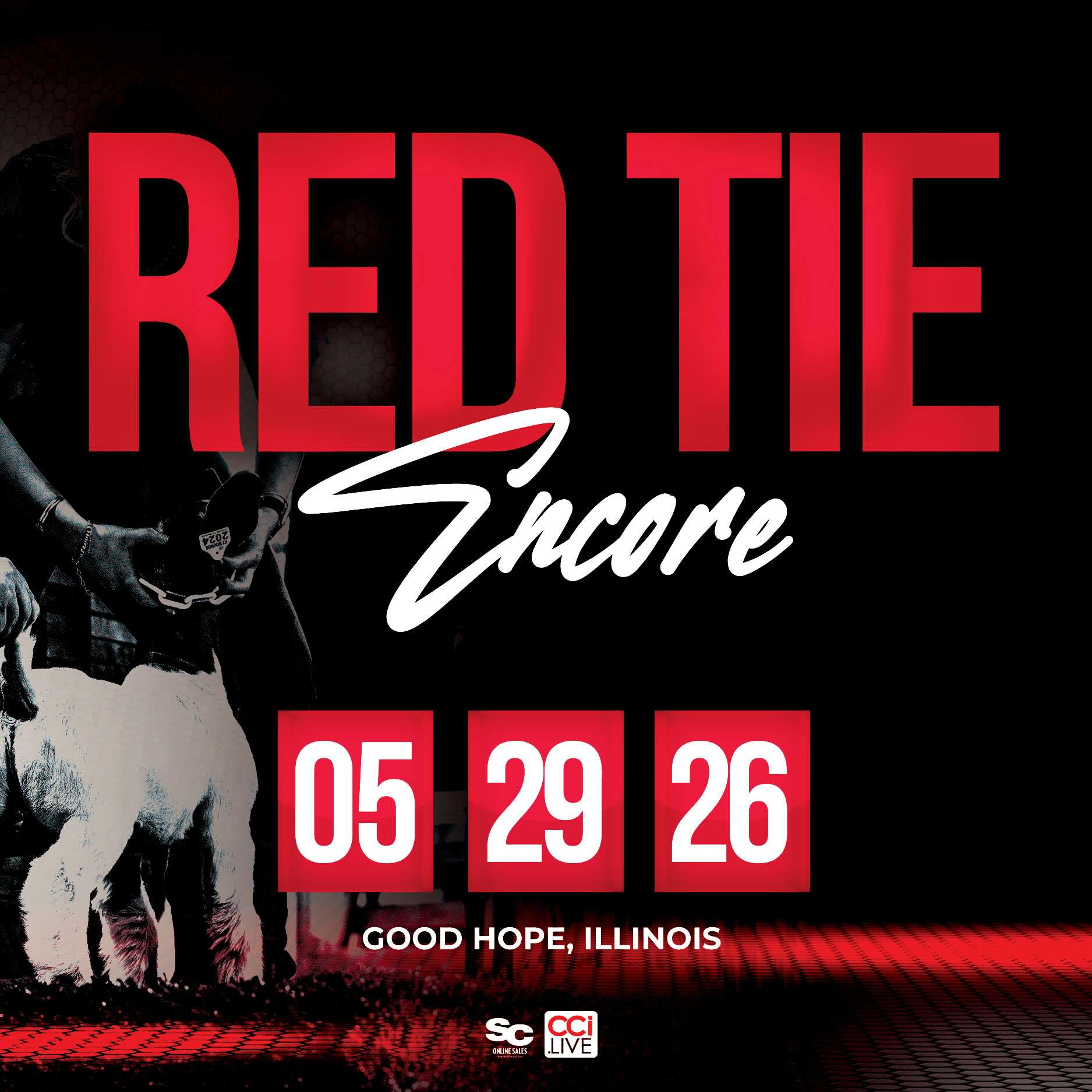 Red Tie Encore photo