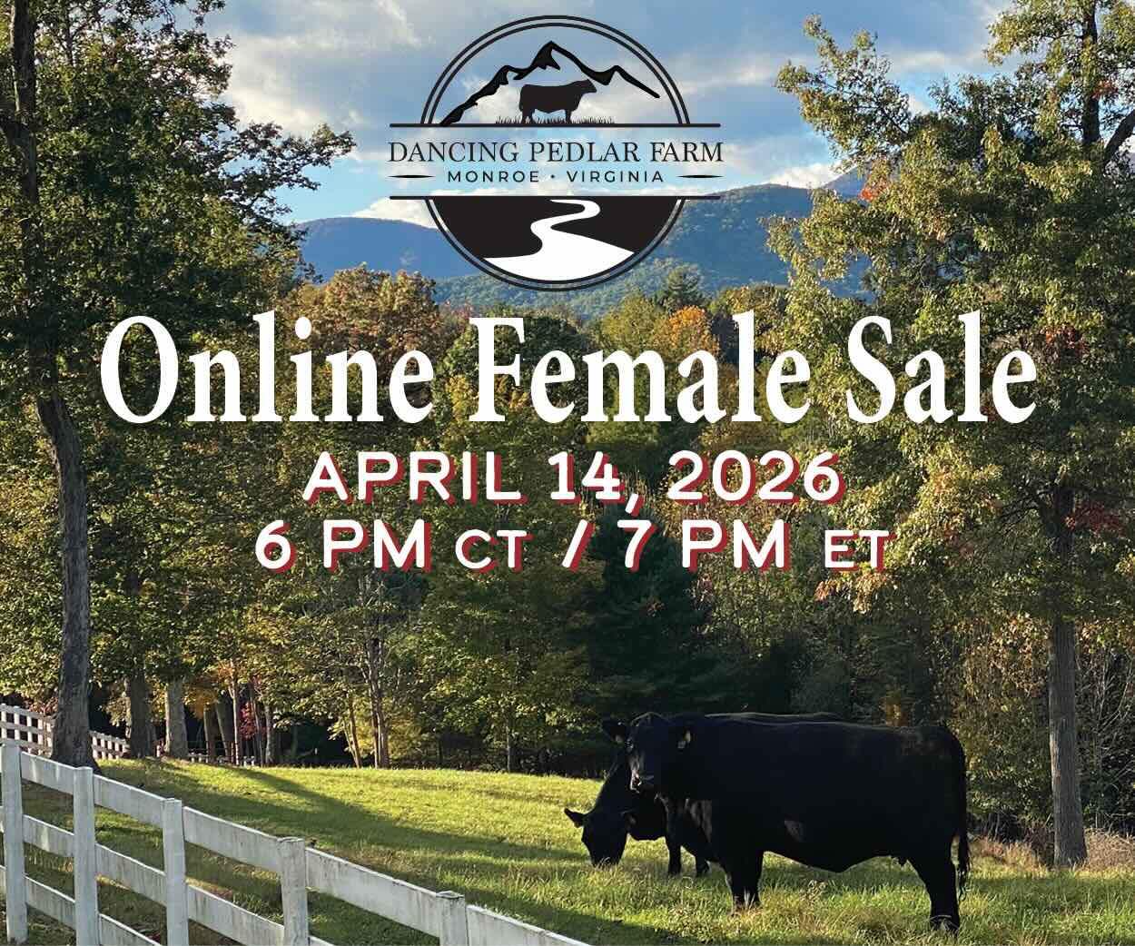 Dancing Pedlar Female Sale photo