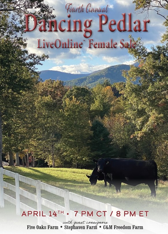 Dancing Pedlar Female Sale photo