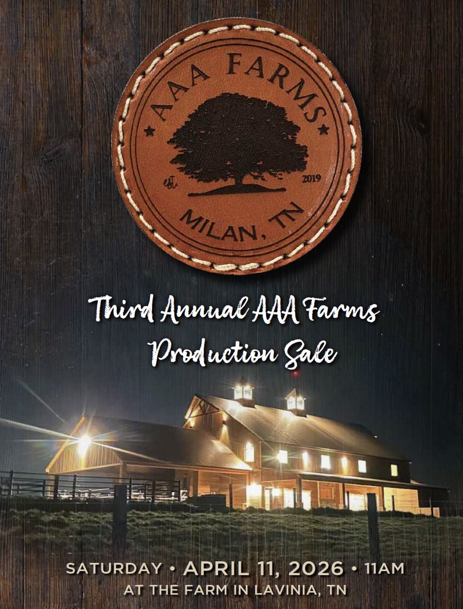 AAA Farms Production Sale photo