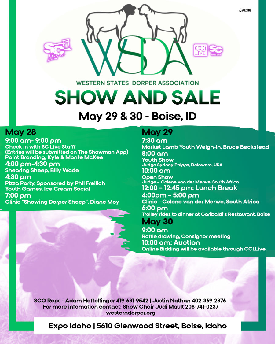 Western States Dorper Show and Sale photo
