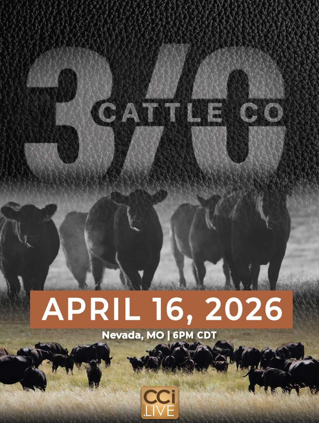 3/0 Cattle Co. Production Sale photo