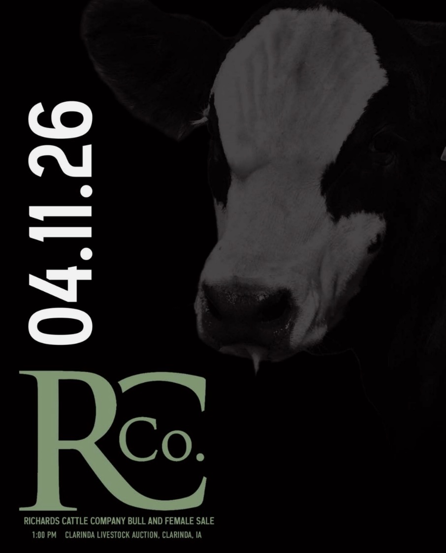 Richards Cattle Co Bull & Female Sale photo