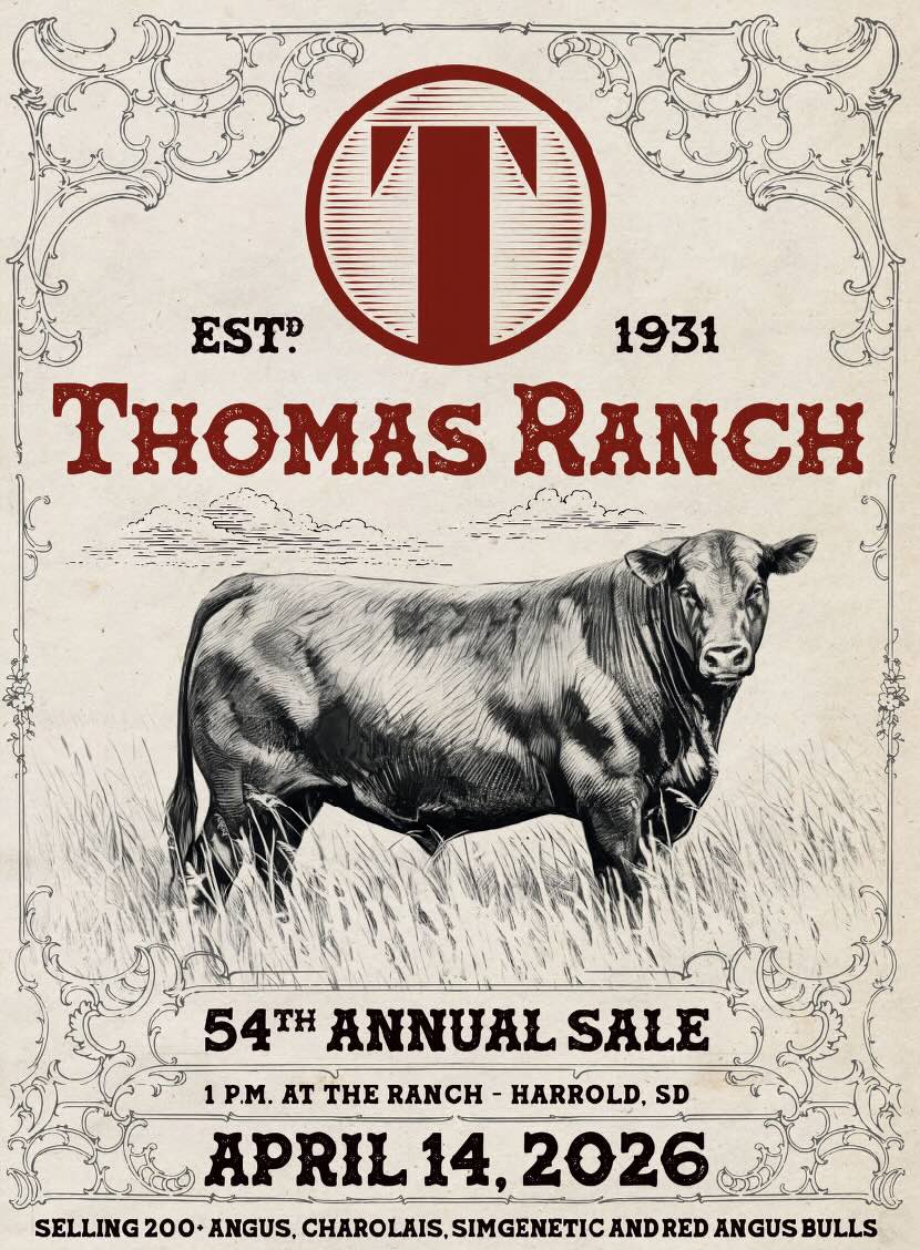 Thomas Ranch Bull Sale photo