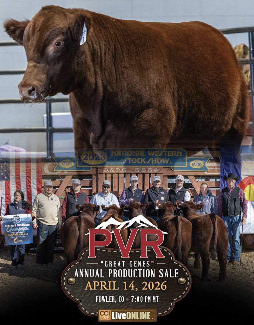Peak View Ranch Annual Production Sale photo