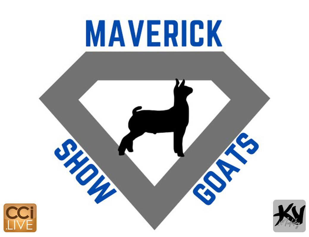 Out West Goat Sale photo