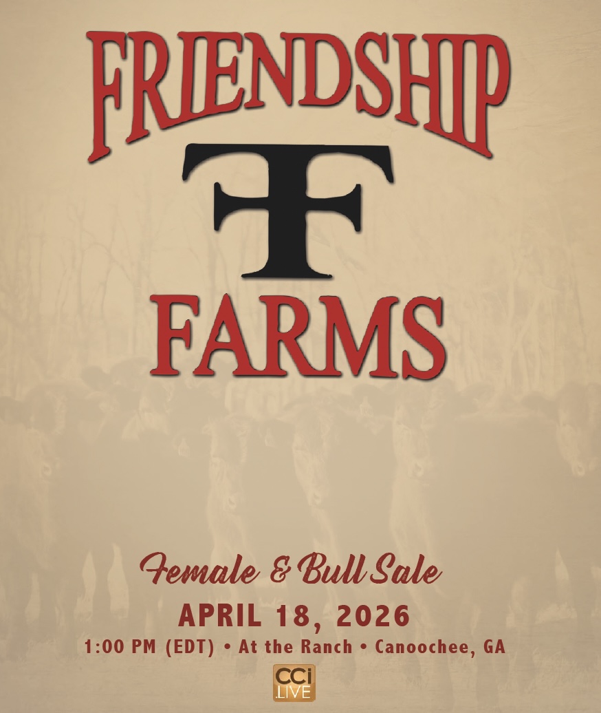 Friendship Farms Female & Bull Sale photo