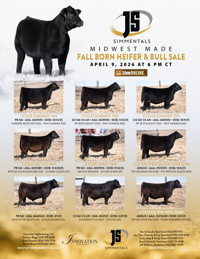 JS Simmentals “Midwest Made” Elite Fall Born and Bull Sale photo