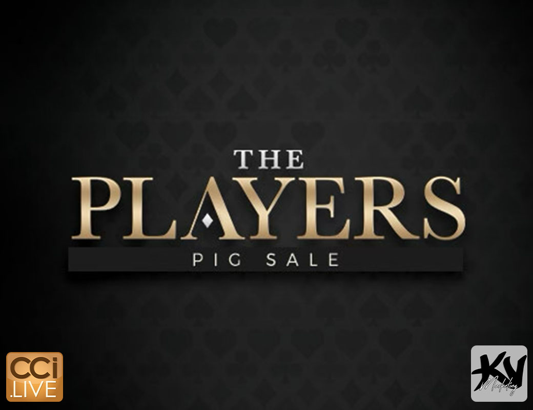 The Players Pig Sale photo